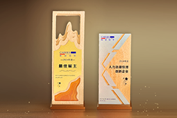 公海gh555000aa国际一举斩获“2024年度中国区最佳雇主”等多项大奖